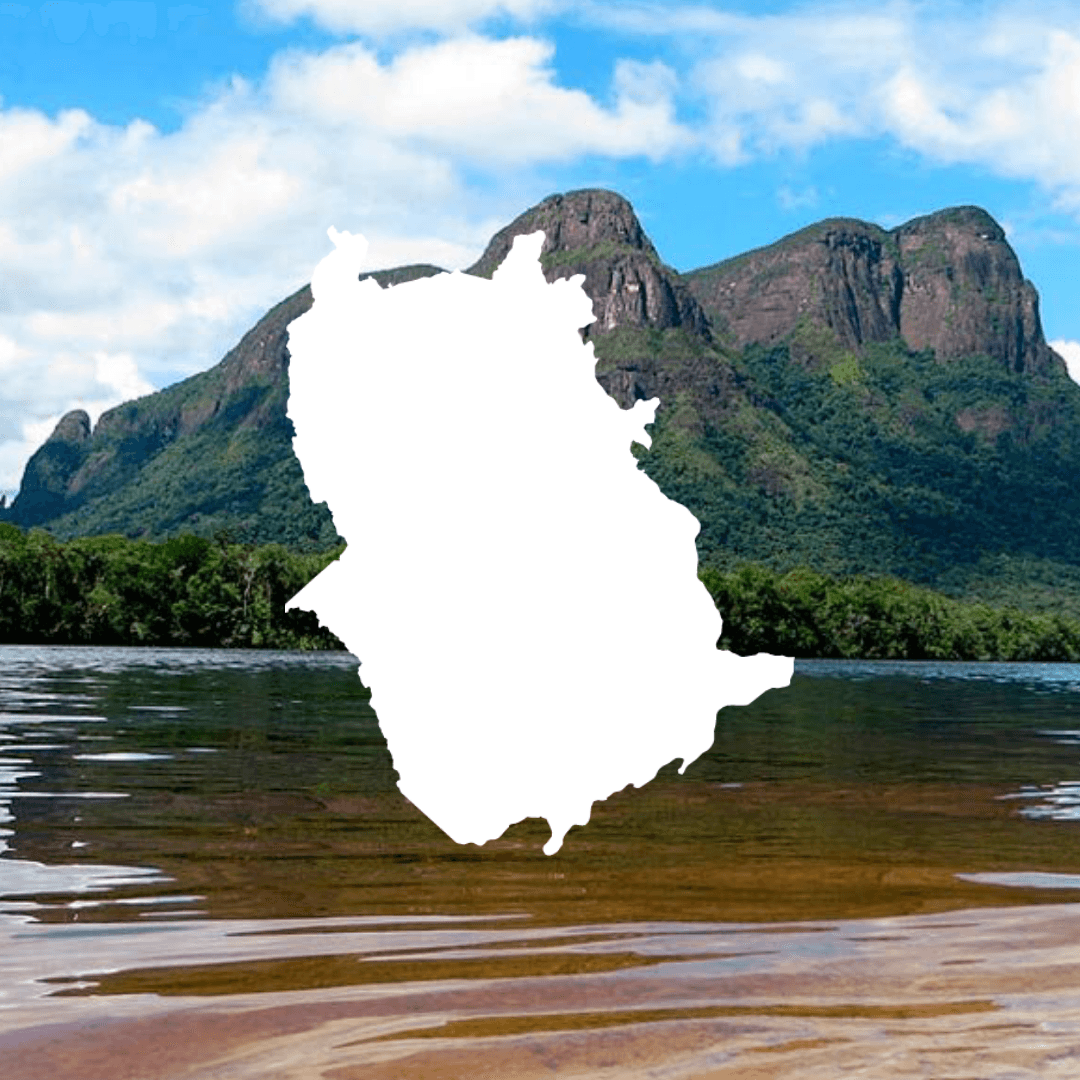 Estado Amazonas